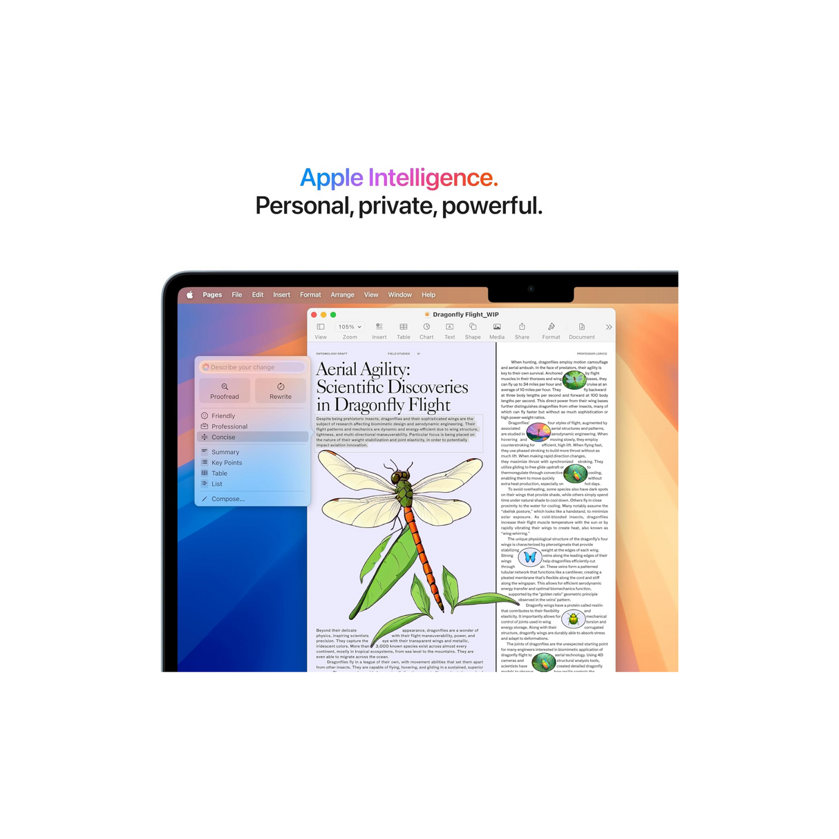 2025 - MacBook Air 13" M4